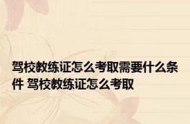 驾校教练证怎么考取需要什么条件 驾校教练证怎么考取