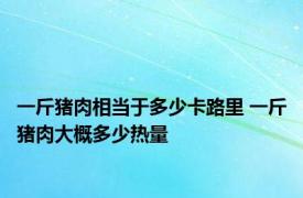 一斤猪肉相当于多少卡路里 一斤猪肉大概多少热量