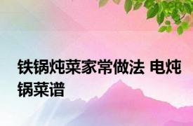 铁锅炖菜家常做法 电炖锅菜谱 