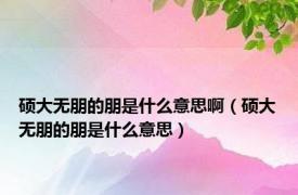 硕大无朋的朋是什么意思啊（硕大无朋的朋是什么意思）