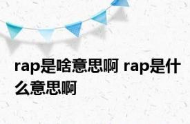 rap是啥意思啊 rap是什么意思啊