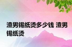 渣男锡纸烫多少钱 渣男锡纸烫 