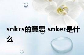 snkrs的意思 snker是什么