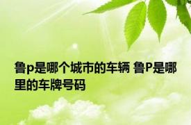 鲁p是哪个城市的车辆 鲁P是哪里的车牌号码