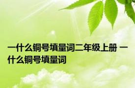 一什么铜号填量词二年级上册 一什么铜号填量词 