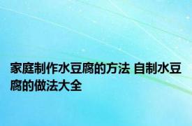 家庭制作水豆腐的方法 自制水豆腐的做法大全 