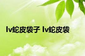 lv蛇皮袋子 lv蛇皮袋 