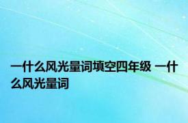 一什么风光量词填空四年级 一什么风光量词