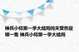 神兵小将第一季大结局问夫受伤是哪一集 神兵小将第一季大结局