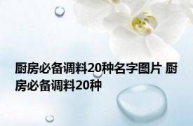 厨房必备调料20种名字图片 厨房必备调料20种