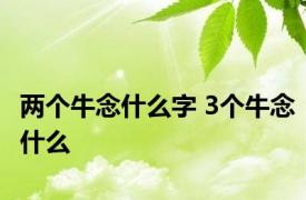 两个牛念什么字 3个牛念什么 