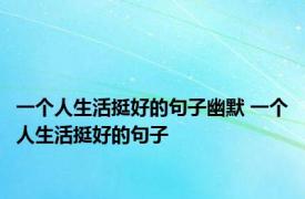 一个人生活挺好的句子幽默 一个人生活挺好的句子 