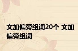 文加偏旁组词20个 文加偏旁组词 