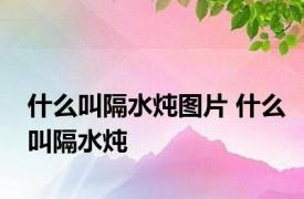 什么叫隔水炖图片 什么叫隔水炖