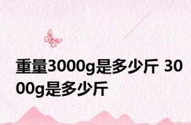 重量3000g是多少斤 3000g是多少斤 