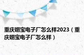 重庆翊宝电子厂怎么样2023（重庆翊宝电子厂怎么样）