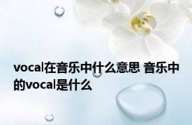 vocal在音乐中什么意思 音乐中的vocal是什么 