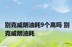 别克威朗油耗9个高吗 别克威朗油耗 