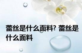 蕾丝是什么面料? 蕾丝是什么面料