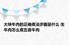 大块牛肉的正确煮法步骤是什么 生牛肉怎么煮五香牛肉 