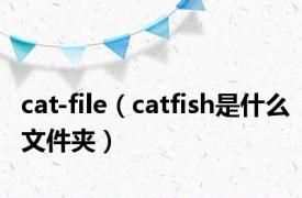 cat-file（catfish是什么文件夹）