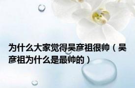 为什么大家觉得吴彦祖很帅（吴彦祖为什么是最帅的）