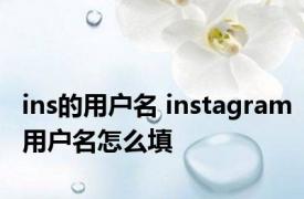 ins的用户名 instagram用户名怎么填