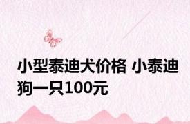 小型泰迪犬价格 小泰迪狗一只100元 