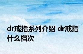 dr戒指系列介绍 dr戒指什么档次 