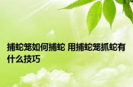 捕蛇笼如何捕蛇 用捕蛇笼抓蛇有什么技巧