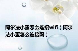 阿尔法小蛋怎么连接wifi（阿尔法小蛋怎么连接网）