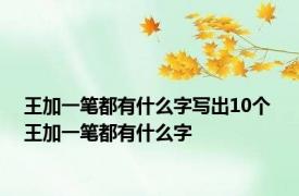 王加一笔都有什么字写出10个 王加一笔都有什么字 