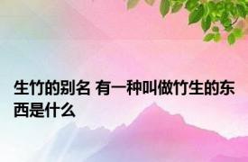 生竹的别名 有一种叫做竹生的东西是什么