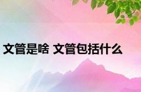 文管是啥 文管包括什么 