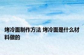 烤冷面制作方法 烤冷面是什么材料做的 