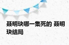 聂明玦哪一集死的 聂明玦结局