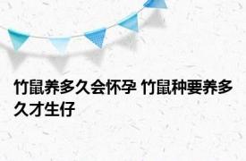 竹鼠养多久会怀孕 竹鼠种要养多久才生仔