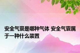 安全气囊是哪种气体 安全气囊属于一种什么装置