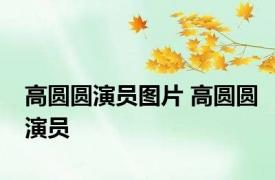 高圆圆演员图片 高圆圆演员 