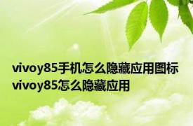 vivoy85手机怎么隐藏应用图标 vivoy85怎么隐藏应用 