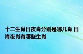 十二生肖日夜肖分别是哪几肖 日肖夜肖有哪些生肖