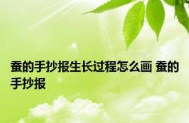 蚕的手抄报生长过程怎么画 蚕的手抄报 