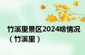 竹溪里景区2024啥情况（竹溪里）