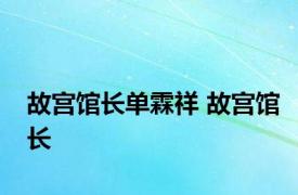 故宫馆长单霖祥 故宫馆长 