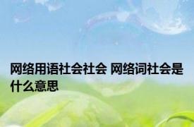 网络用语社会社会 网络词社会是什么意思