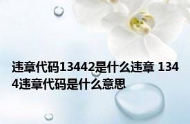 违章代码13442是什么违章 1344违章代码是什么意思