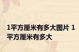 1平方厘米有多大图片 1平方厘米有多大