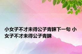 小女子不才未得公子青睐下一句 小女子不才未得公子青睐 