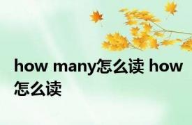 how many怎么读 how怎么读 