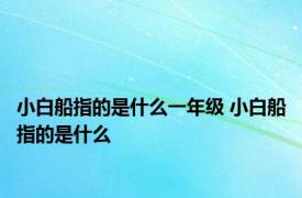 小白船指的是什么一年级 小白船指的是什么 